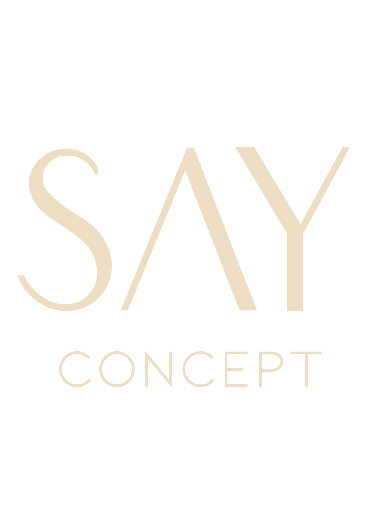 SAY CONCEPT